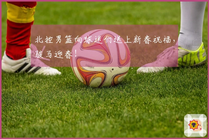 北控男篮向球迷们送上新春祝福，骏马迎春！
