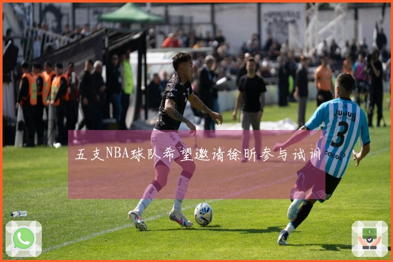 五支NBA球队希望邀请徐昕参与试训